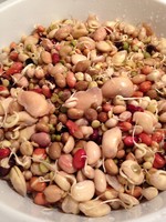 <div id=myiframe><iframe src=http://www.facebook.com/plugins/like.php?href=http%3A%2F%2Fsajha%2Ecom%2Fsajha%2Fhtml%2Findex%2Ecfm%3Frecommendations%3D1%26id%3D177%26photofile%3DIMG%5F1565%2Ejpg&layout=standard&show_faces=false&share=true&width=450&action=like&colorscheme=dark&height=15 scrolling=no frameborder=0 allowTransparency=true></iframe></div>